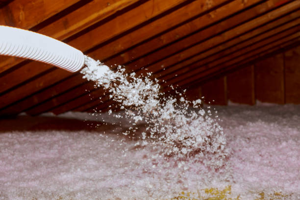 Best Attic Insulation Installation  in Ovilla, TX