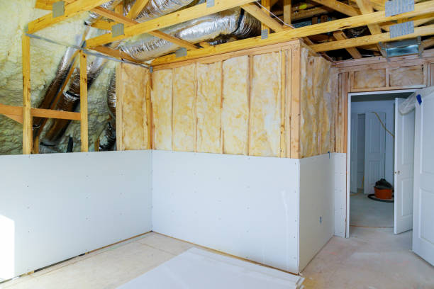 Professional Insulation Contractor in Ovilla, TX
