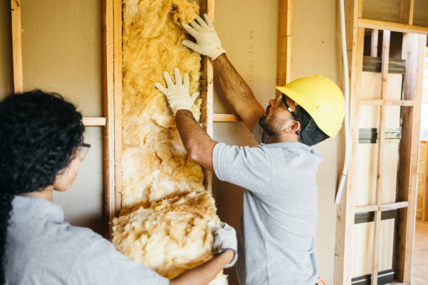 Best Spray Foam Insulation  in Ovilla, TX