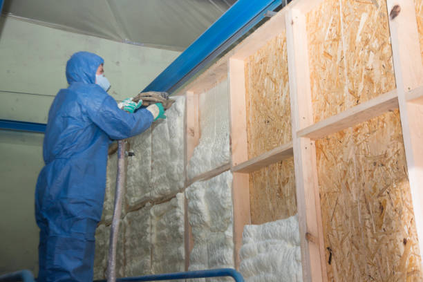 Best Insulation Repair Services  in Ovilla, TX