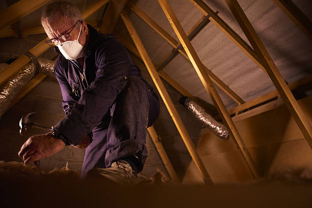 Best Professional Insulation Contractor  in Ovilla, TX